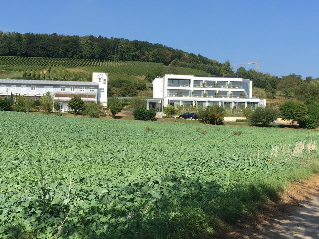 Heitlinger Hof Hotel Tiefenbach  Exterior photo